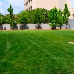 grass area outside cook museum event space